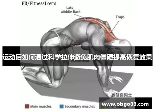运动后如何通过科学拉伸避免肌肉僵硬提高恢复效果